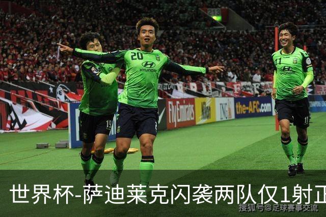世界杯-萨迪莱克闪袭两队仅1射正 捷克半场暂1-0南非