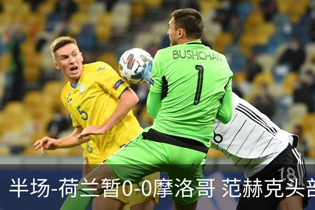 半场-荷兰暂0-0摩洛哥 范赫克头部屡遭重创血染赛场 费布吕亨神扑